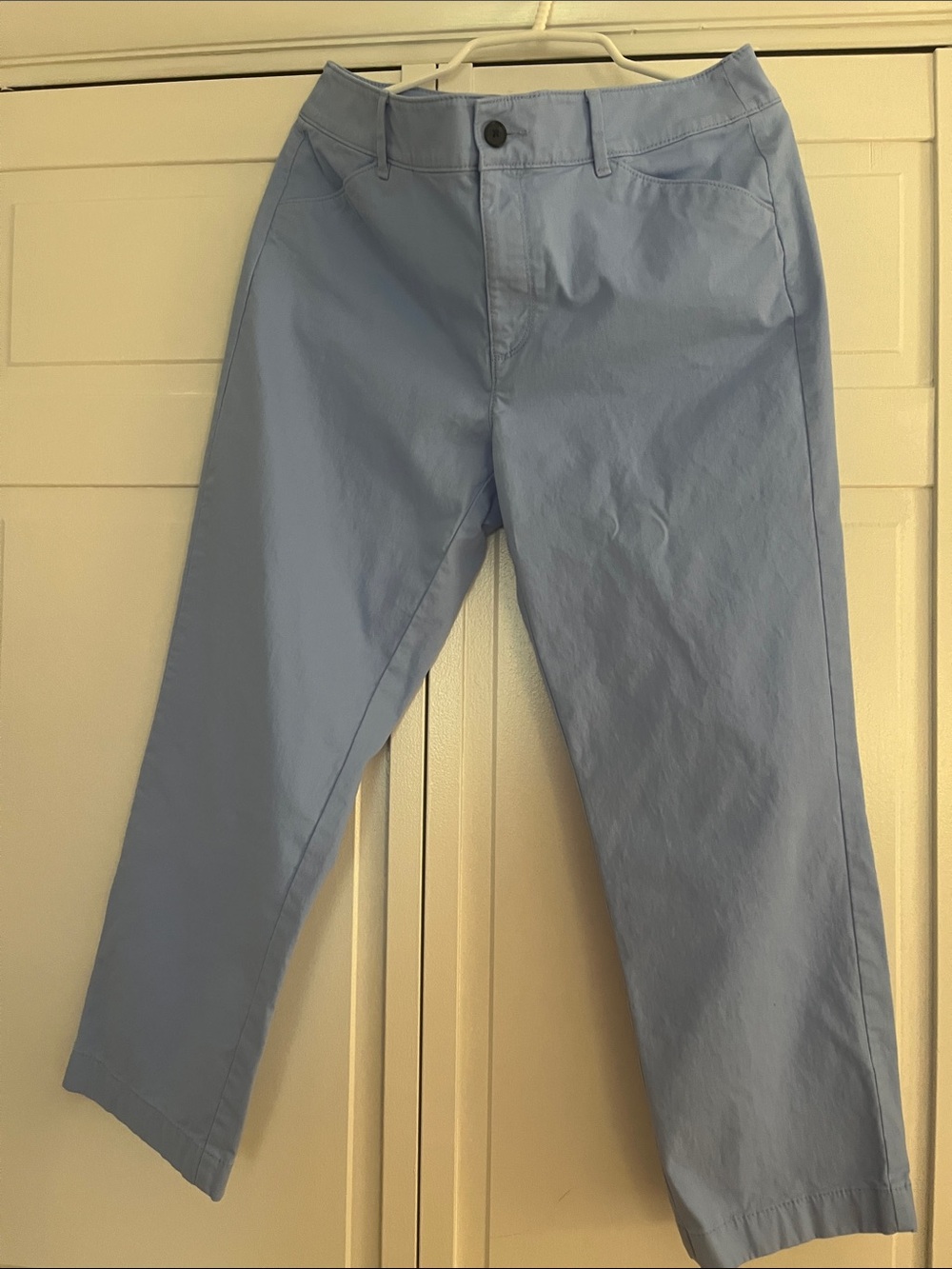 LOFT Straight Leg Pants in Light Blue